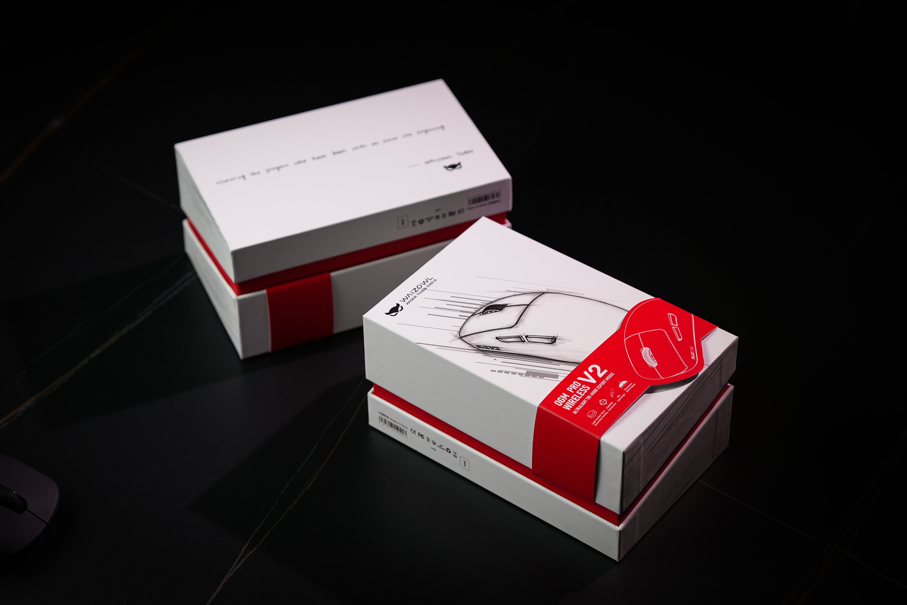 Waizowl OGM Pro V2【ゲーミングマウス】