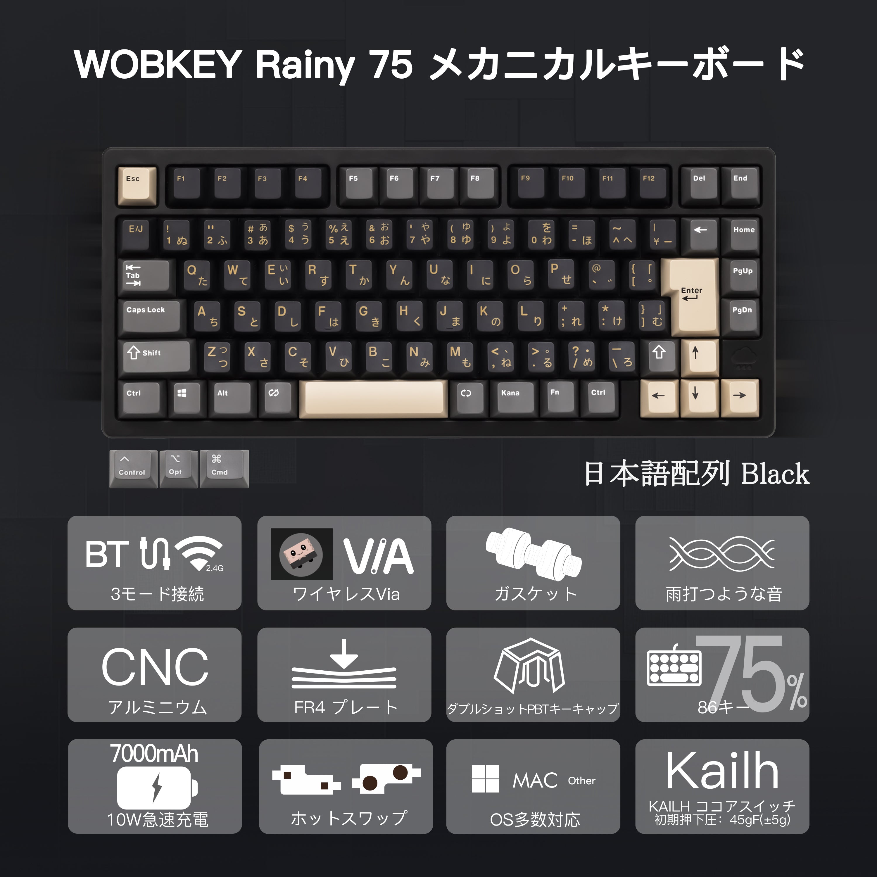 【SP価格先行予約】WOBKEY Rainy 75 Pro JIS 日本語配列